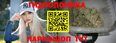 Альфа ПВП Тверь