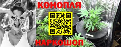 Альфа ПВП Тверь