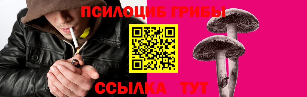 Назрань  Галлюциногенные грибы Psilocybe  Вход с VPN 